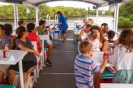 Tampa Bay Eco Cruise with Wildlife Viewing 2 hr thumbnail 4