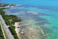 Miami Key Largo Private Airplane Tour 50 min thumbnail 2