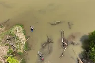 Old Hickory Lake Clear Kayak Tour thumbnail 5