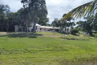 Punta Gorda Boat Tour to Cayo Costa and Cabbage Key thumbnail 3