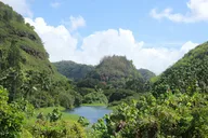 Oahu North Shore Private Van Tour thumbnail 5