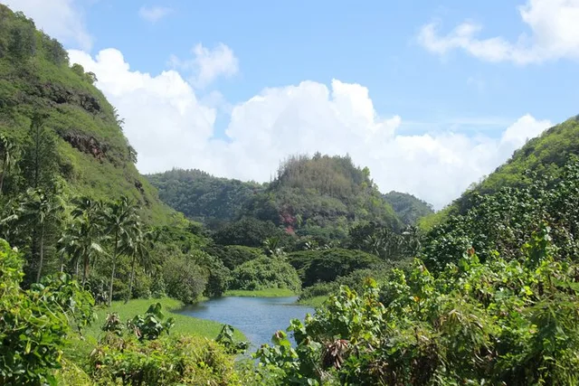 Oahu North Shore Private Van Tour - Image 5