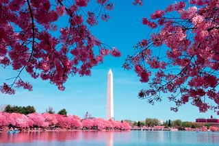 Washington DC Monuments Tour with Museums