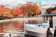 Boston Charles River Fall Foliage Cruise thumbnail 1