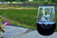 Traverse City Wine Tour in Luxury SUV thumbnail 5