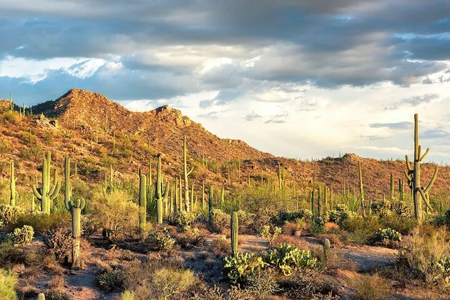Los Angeles to Las Vegas 7-Day National Parks Tour - Image 4