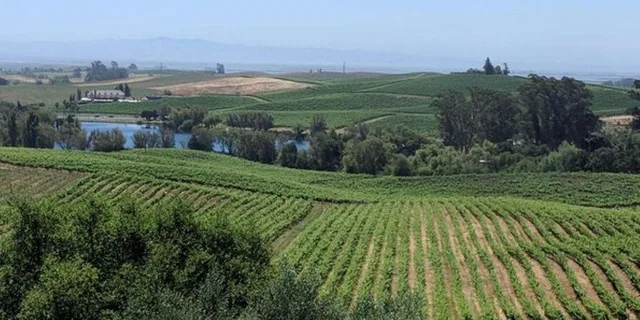 San Francisco Napa and Sonoma Valley Wine Tour - Image 1