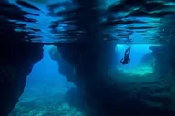 Kailua-Kona Marine Life and Snorkel Tour thumbnail 2