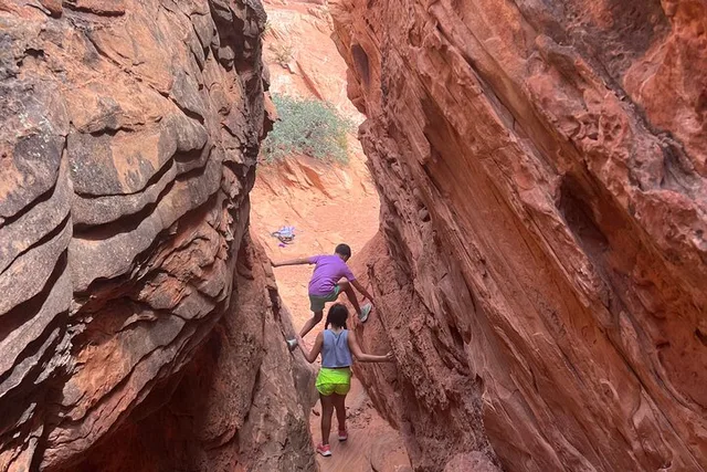 Zion Babylon Arch Hike and Desert Wildlife Adventure - Image 5