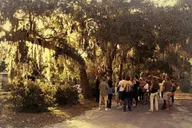 Savannah Bonaventure Cemetery After-Hours Tour thumbnail 4