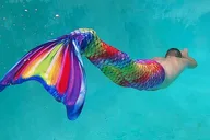 Santa Cruz Mermaid Experience & Photoshoot 60 min thumbnail 4