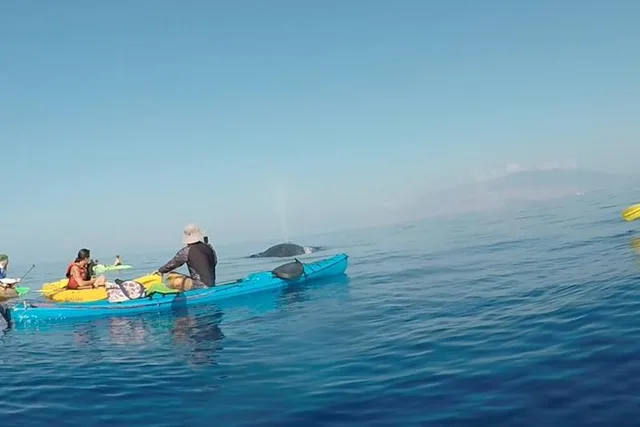Makena Whale Watching and Snorkel - Image 1