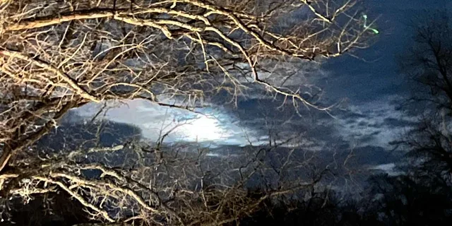 Williamsburg Paranormal Investigation Tour - Image 1
