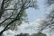 Washington, D.C. Day Trip from New York thumbnail 3