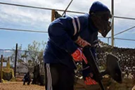 Las Vegas Paintball Experience thumbnail 6