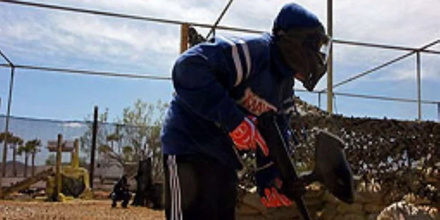 Las Vegas Paintball Experience - Image 6