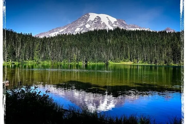 Portland Mt. Rainier Small Group Tour - Image 3