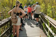 Miami Everglades Airboat Ride and Nature Walk thumbnail 6