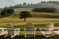 Portland Willamette Valley Wine Tour thumbnail 5