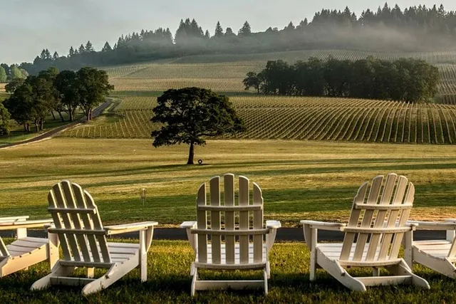 Portland Willamette Valley Wine Tour - Image 5
