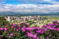 Asheville Walking Tour thumbnail 1