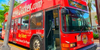 Miami City Tour with Boat and Everglades Adventure