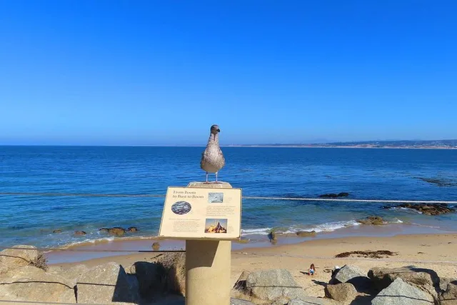 Monterey Cannery Row Self-Guided Audio Tour - Image 5