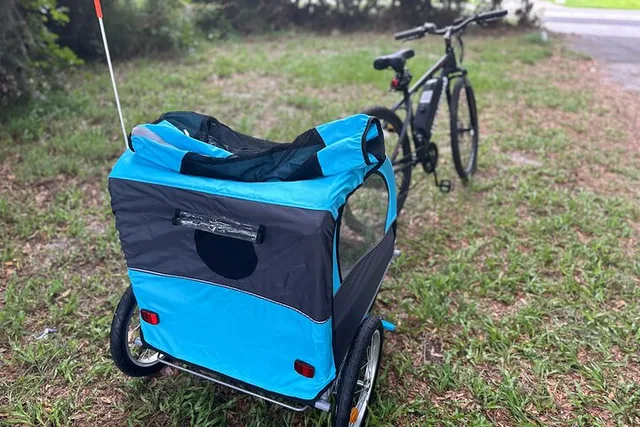 Kissimmee E-Bike Lakefront Tour with Child Trailer - Image 5