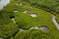 North Miami Beach Clear Kayak Tour in Mangrove Tunnels thumbnail 4