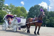 New York Central Park Carriage Ride thumbnail 6