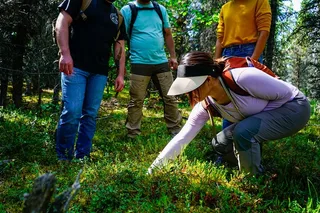 Denali Off-Trail Hiking Adventure