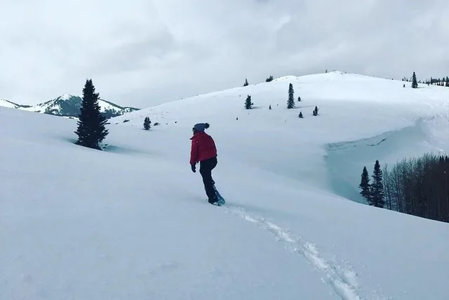 Park City Snowshoe Excursion - Image 2