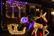 New York Dyker Heights Christmas Lights Tour thumbnail 3