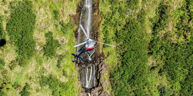 Maui Helicopter Tour with Hana Rainforest Landing - Image 4