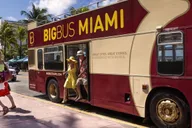 Miami Everglades and Hop-on Hop-off Tour thumbnail 3