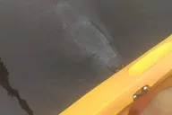 Manatee Cove Kayaking Tour with Manatee & Dolphin Sightings thumbnail 3