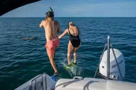 Key West Dolphin and Snorkel Tour thumbnail 6