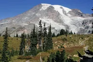 Mt. Rainier Gondola Ride at Sunrise and Paradise thumbnail 4