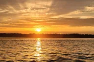 Hilton Head Island Dolphin Boat Tour thumbnail 4