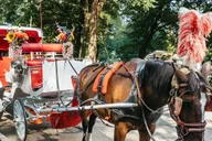 New York City Nighttime Carriage Ride Central Park and Rockefeller Center thumbnail 6