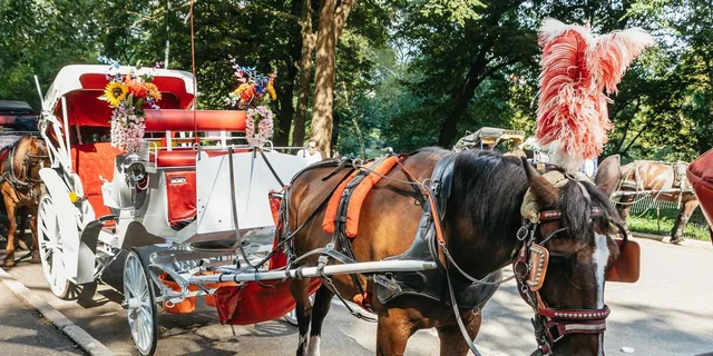 New York City Nighttime Carriage Ride Central Park and Rockefeller Center - Image 6