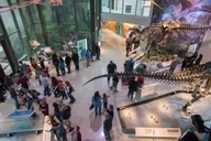 San Antonio Witte Museum Admission thumbnail 1