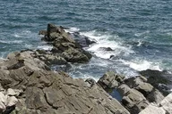 Boston Coastal Maine Private Tour thumbnail 2