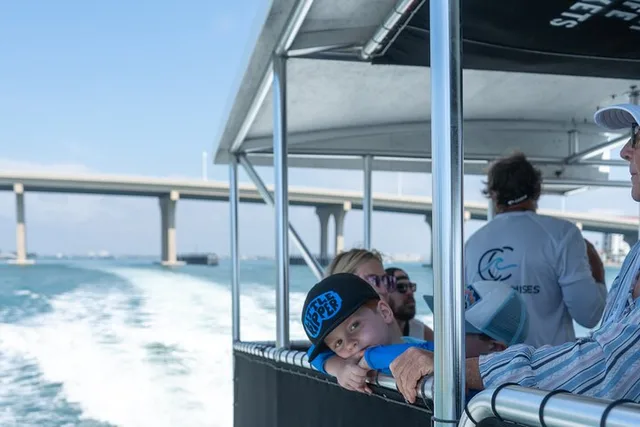 St. Pete Dolphin Watching Cruise 90 Min - Image 1
