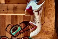 Ketchikan Rainforest Walk and Totem Park Tour thumbnail 2