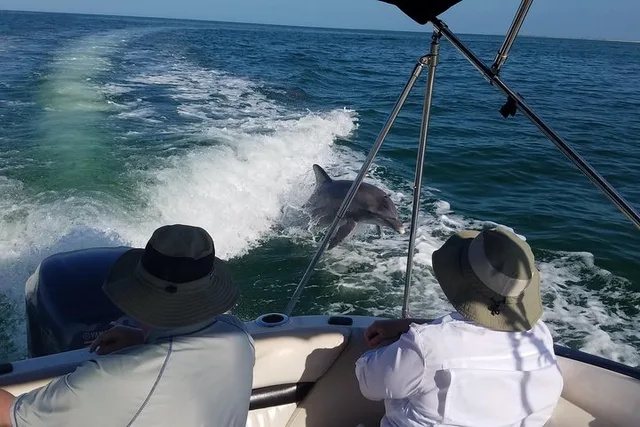 Clearwater Beach Private Boating Adventure - Image 5