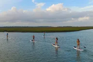 Charleston Stand-Up Paddleboard Eco Tour 2 hr thumbnail 4