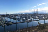 Whittier to Anchorage Wildlife Sightseeing Tour thumbnail 4