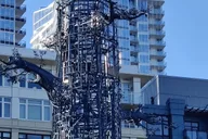 Seattle Historic & Cultural Walking Tour thumbnail 4
