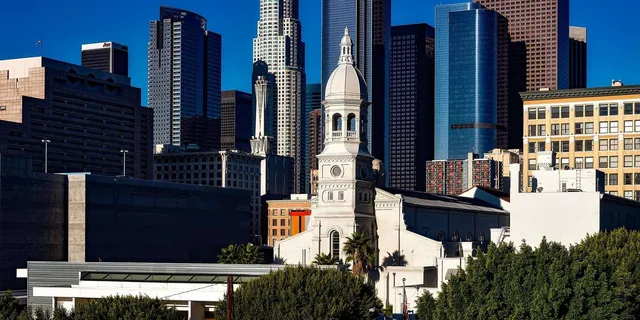 Los Angeles Private Airport Transfer from LAX - Image 6